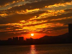 -深圳湾公园(南山区)