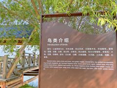 -野鸭湖国家湿地公园