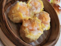 烧卖-唐苑酒家·岭南粤菜名店(太古仓店)