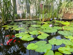 -国家植物园南园