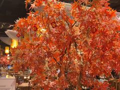 -杨记隆府重庆江湖菜(大悦城店)