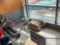-昆明大悦城未来动物城(螺蛳湾中心店)