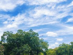 -新江湾城公园