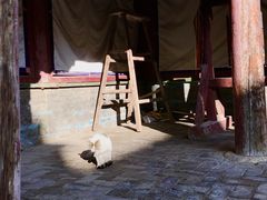 -塔尔寺