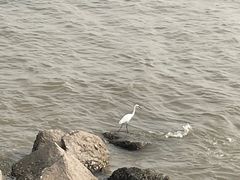 -太平洋咖啡(海天驿站店)