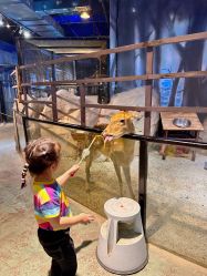 -酷嗒动物文化乐园(cutezoo西溪乐天城店)