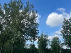 -汉长安城未央宫国家考古遗址公园