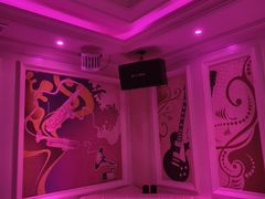 -金青果甄选KTV(劳动公园店)