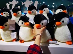 -成都浩海立方海洋公园