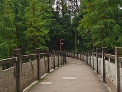 -重庆彩云湖湿地公园
