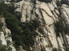 -嵩山少林文化旅游景区