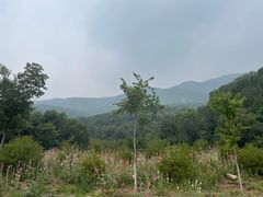 -北京西山国家森林公园