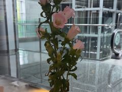 -松鹤楼·非遗·苏帮菜(融科店)