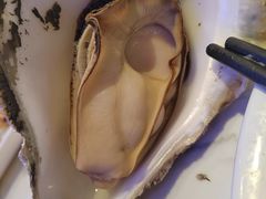 -半岛听涛蒸汽海鲜自助(K11店)