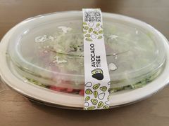 -油梨树AVOCADO TREE(望京店)