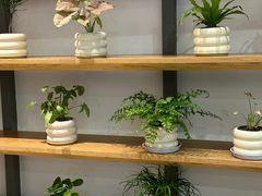 -汝是素(汇一城一区店)