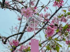 -宝墨园景区