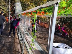 -丹东天桥沟景区