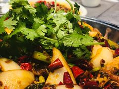 -红辣椒·川菜·火锅(张杨路店)