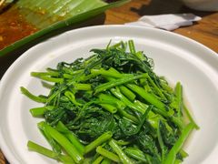 -茶花妹子云南餐厅(北大店)