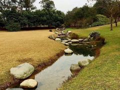 -去茶山