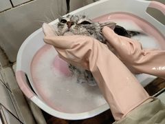 -熊小胖宠物生活馆(天华园店)