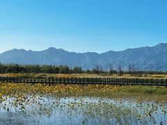 -野鸭湖国家湿地公园