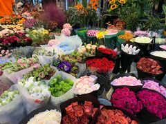 -双季花艺园艺市场(浦东店)