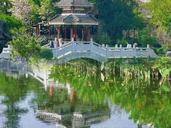 -顺峰山公园