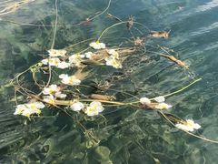 -丽江泸沽湖景区