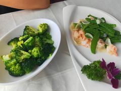 -云中小雅