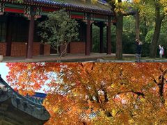 -灵谷景区