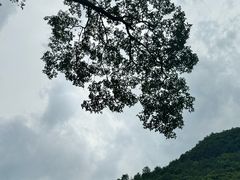 -蝶舞清江·恩施地心谷景区