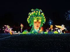 -广西壮族自治区药用植物园