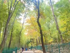 -灵岩山风景区