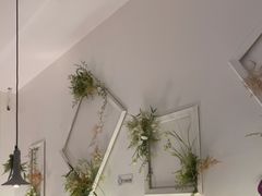 -春树下·树屋花房西餐厅(罍街AS1980店)