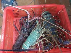 -班赞海鲜市场