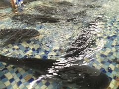 -森谷美食公园(杨行店)