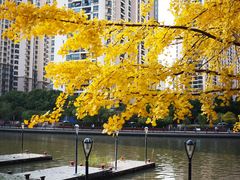 -苏州河梦清园环保主题公园