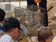 -前小桔亲子创意农场·草莓采摘·露营烧烤