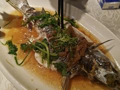 -大荣华酒楼(元朗老店)