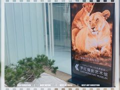 -罗红摄影艺术馆