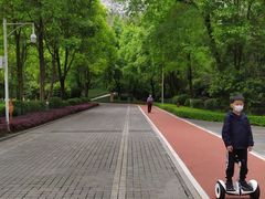 -龙头寺公园