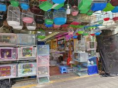 -溪岸路花鸟市场