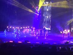 -广州长隆国际大马戏