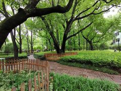 -徐家汇源景区-衡山公园