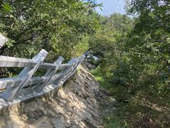 -大芦花风景区