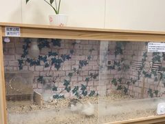 -美联众合爱康动物医院•复杂内科•肿瘤科•牙科•腔镜诊疗中心