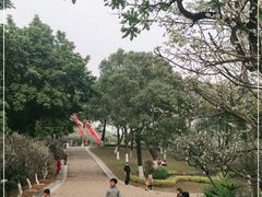 -玉树公园