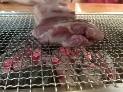 梅花肉-肉甲韩国木炭烤肉(新壹街1店)